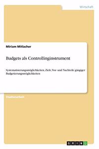 Budgets als Controllinginstrument