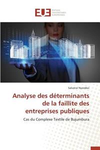 Analyse Des Déterminants de la Faillite Des Entreprises Publiques