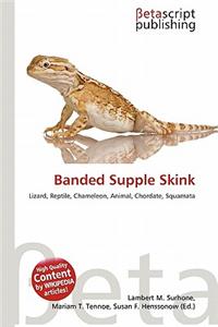 Banded Supple Skink