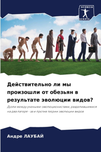 Действительно ли мы произошли от обезьян k