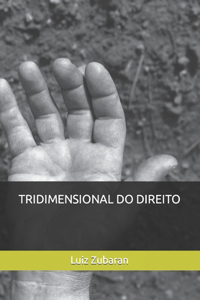 Tridimensional Do Direito