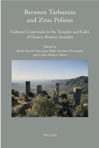 Between Tarhuntas and Zeus Polieus