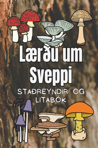 Lærðu um Sveppi