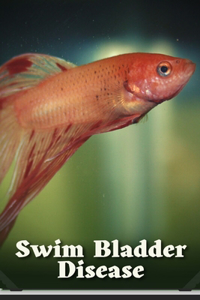 Swim Bladder Disease
