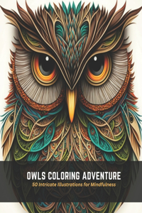 Owls Coloring Adventure