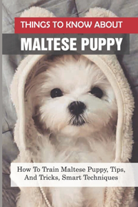 Things To Know About Maltese Puppy
