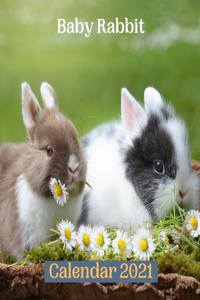 Baby Rabbit Calendar 2021