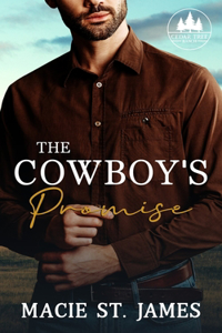 Cowboy's Promise