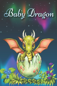 Baby Dragon