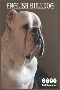 Wall Calendar english bulldog