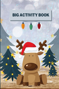 Big Activity Book