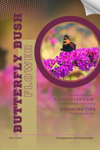 Butterfly Bush