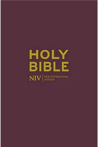 NIV Pocket Burgundy Flexibind Bible