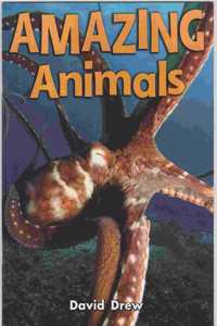 Rigby Star Shared Year 1/P2 Non-Fiction: Amazing Animal Facts Shared Reading Pack Framework Edition