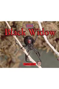 Black Widow