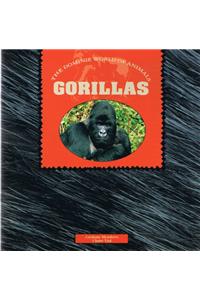 Gorillas