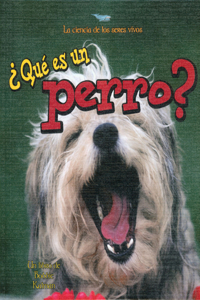 ¿Qué Es Un Perro? (What Is a Dog?)