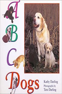 ABC Dogs