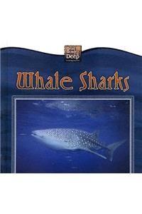 Whale Sharks