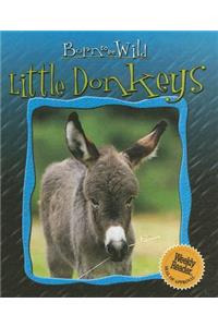 Little Donkeys