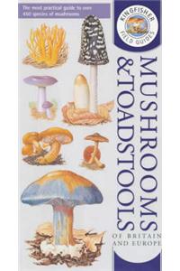 Kingfisher Field Guide to the Mushrooms and Toadstools of Britain and Europe
