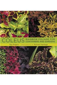 Coleus