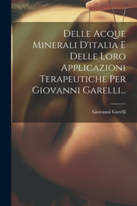 Delle Acque Minerali D'italia E Delle Loro Applicazioni Terapeutiche Per Giovanni Garelli...