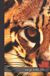 orange ocelot notes
