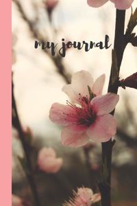 My Journal