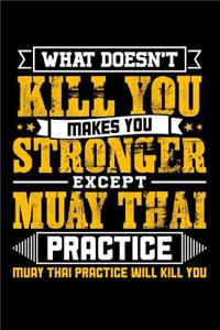 What doesn't kill you makes you stronger except Muay Thai practice Muay Thai practice will kill you