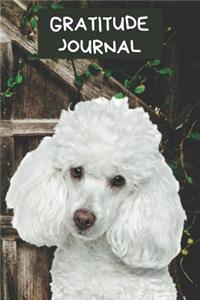 Gratitude Journal: Cute Poodle Dog Cover Diary for Recording What You Are Grateful For Each Day Motivational Writing Gift Notebook: Cute White Puppy Dog Gratitude Book