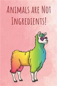 Animals Are Not Ingredients