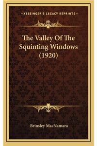 The Valley Of The Squinting Windows (1920)