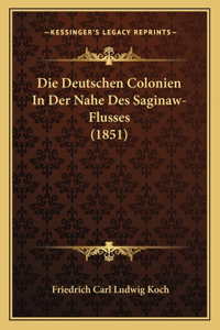 Deutschen Colonien In Der Nahe Des Saginaw-Flusses (1851)