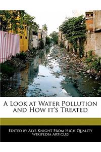 A Look at Water Pollution and How It's Treated