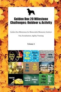 Golden Dox 20 Milestone Challenges