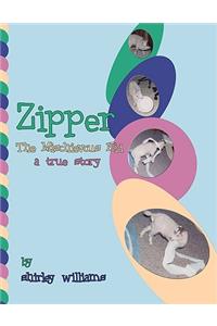 Zipper - The Mischievous Kid