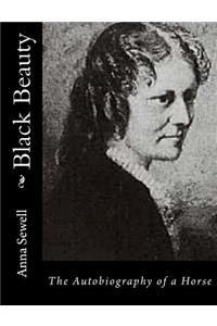 Black Beauty