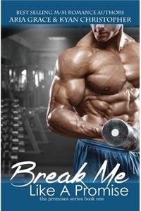 Break Me Like a Promise: An M/M and M/F Contemporary Romance