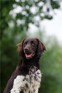 The Small Munsterlander Dog Journal