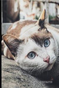 Journal Pages - Cat Face Smile