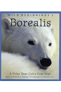 Borealis