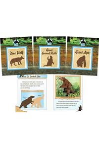 Prehistoric Animals Set 1