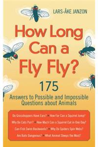 How Long Can a Fly Fly?