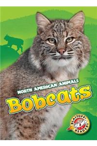Bobcats
