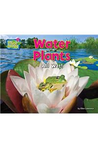 Water Plants
