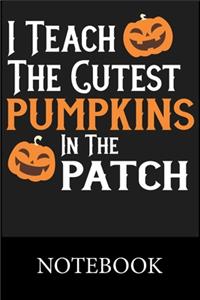I Teach The Cutest Pumpkins In The Patch Notebook