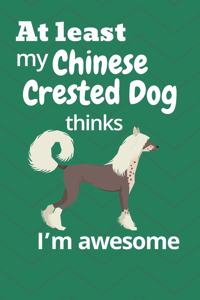 At least My Chinese Crested Dog thinks I'm awesome
