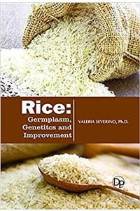 Rice