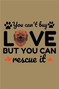 You Can't Buy Love But You can Rescue it